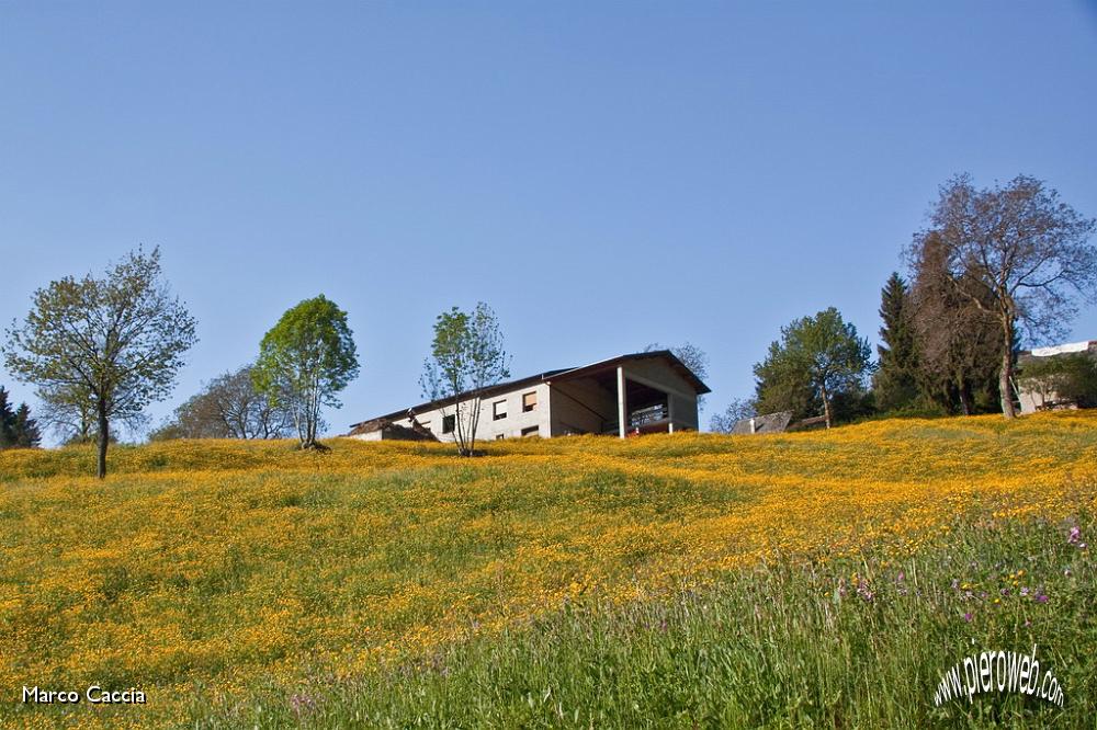 01_Prati in fiori alla partenza.jpg